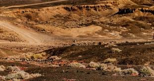 吉拉西：很高兴被评为全场最佳，但最重要的是我们今天赢了